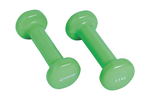 Schildkröt Fitness Set di Manubri in Vinile, 2 x 0,5kg, Verde,960205