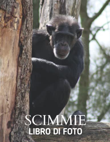 Scimmie: La fotografia delle scimmie per bambini, demenza, anziani e Alzheimer, amanti delle scimmie ( libro di immagini).