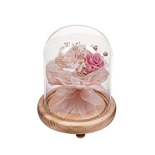 Beauty And The Beast Rose Enchanted Rose Artificial Forever Rose with Glass Dome LED Lights Pine Base for Romantic Gifts on Valentine Mothers Day Anniversary Birthday Home Decor A