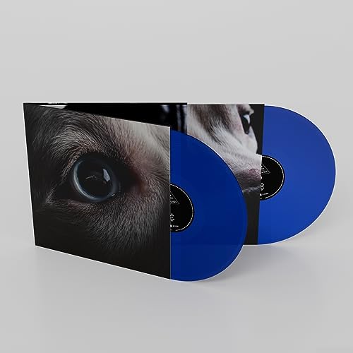 dark side of the moon redux (blue vinyl) (indies)