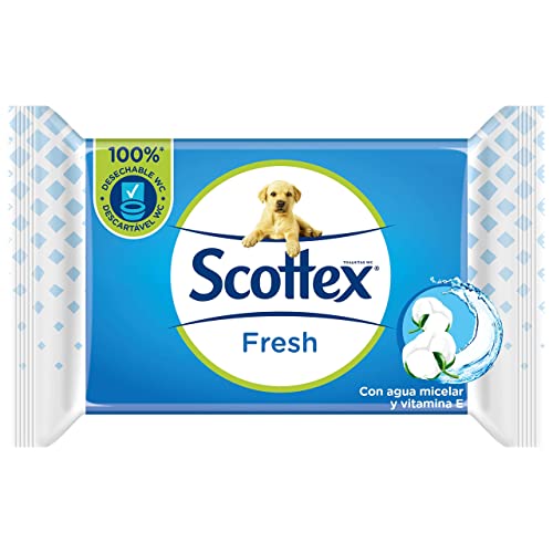 scottex Fresh, carta igienica umido – 12 confezioni da 38 (Totale 456 pezzi)