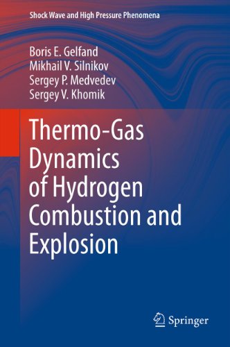 Thermo-Gas Dynamics of Hydrogen Combustion and Explosion (Shock Wave and High Pressure Phenomena) (English Edition)
