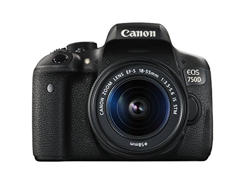 Canon EOS 750D Kit Fotocamera Reflex Digitale da 24 Megapixel con Obiettivo EF-S 18-55 mm IS STM, Nero/Antracite
