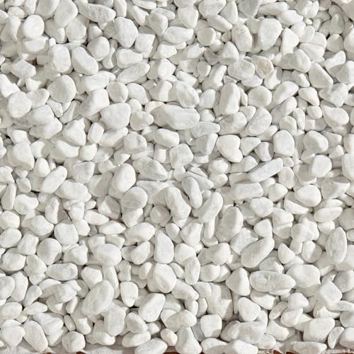 Zandobbio Ciottolo di Marmo Bianco Carrara Sacco da 25 kg Sassi Pietre arredo Giardino vasi