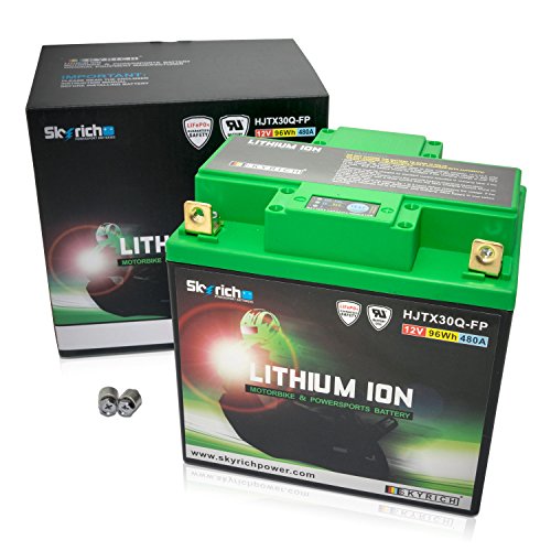 Skyrich HJTX30Q-FP batteria ricaricabile industriale Litio