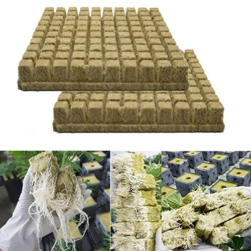 Cubi di lana di roccia per coltivazione, 50/100 pezzi, per la propagazione clonale delle piante; cubi in lana di roccia con base compressa per serre per una crescita vigorosa delle piante