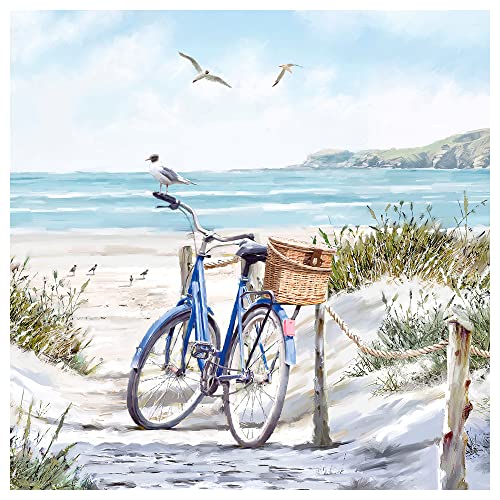 20 tovaglioli da bicicletta con cestino sulla spiaggia, decorazione da tavolo, decoupage, tecnica dei tovaglioli, 33 x 33 cm