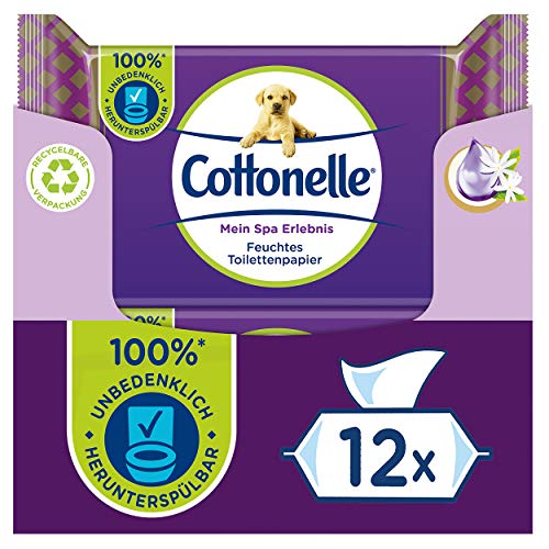 Cottonelle - Carta igienica umida'La mia spa esperienza di seta e gelsomino, 12 x 42 salviette, 2,16 kg
