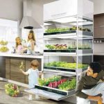 coltivazione-idroponica-ikea