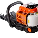 tagliasiepi-a-benzina-amazon