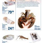 Aragoste Congelate Carrefour aragoste-congelate-carrefour